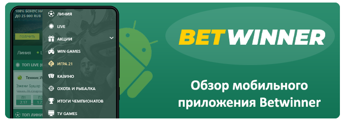 обзор приложения betwinner